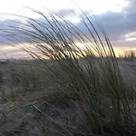 De Noorderzon Дом отдыха *