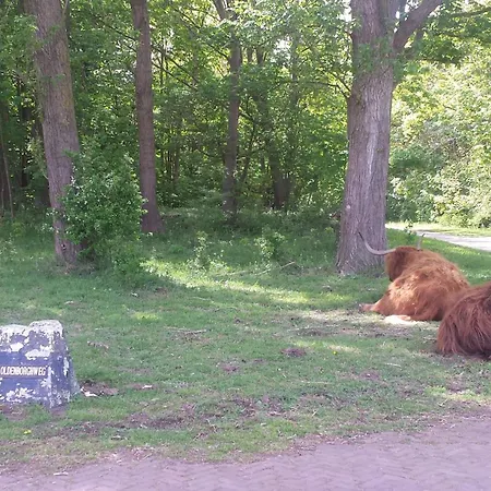 De Noorderzon Holiday home *