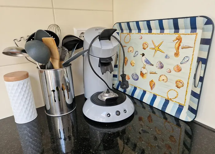 De Noorderzon Tatil Evi