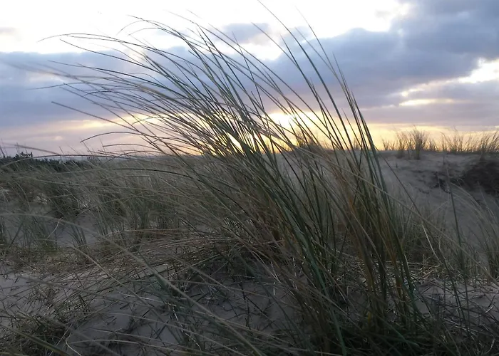 De Noorderzon Tatil Evi *