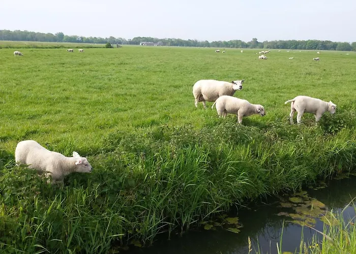 Tatil Evi De Noorderzon Egmond aan Zee